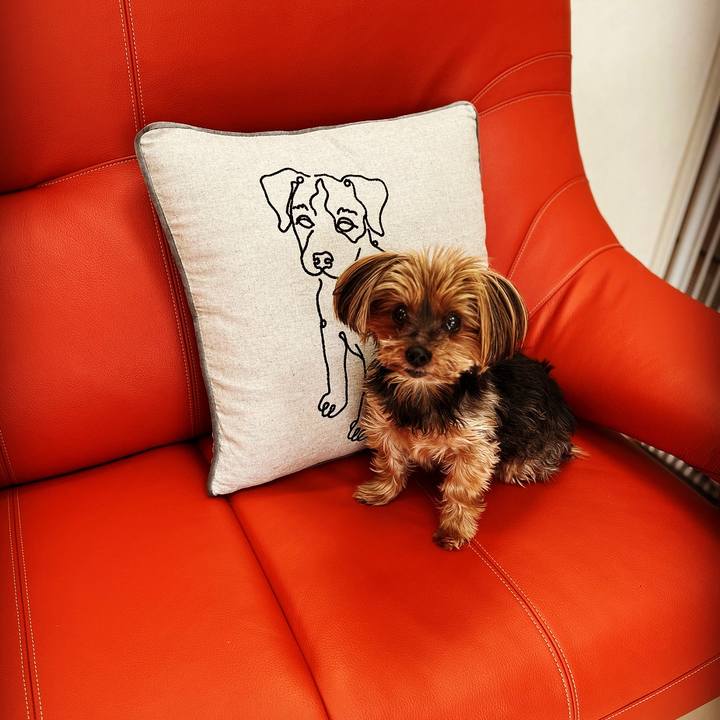 Ed0778b8 b71a 42de 838b 7e1adaf71ed9 1674301394740