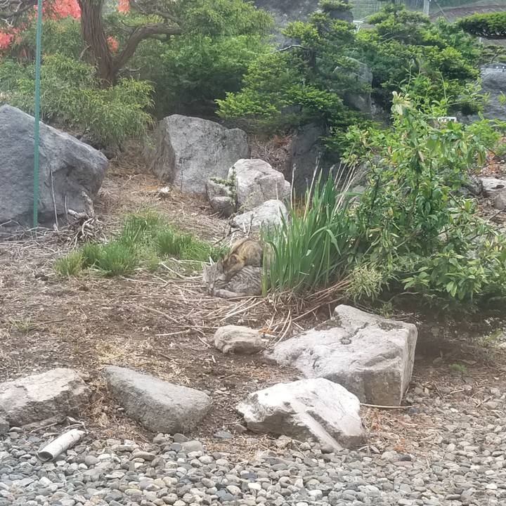 Ed0784bc 939f 43b6 bf22 9e6eb6c49981 1653976352386