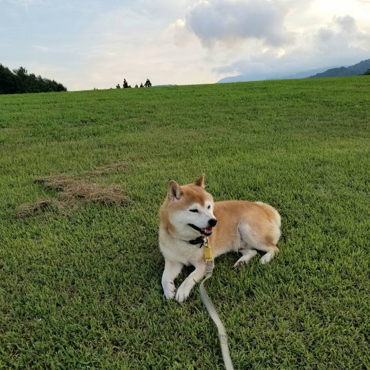 Ed078bab a3f1 429d 8166 32543dcd6daf 1627291097201