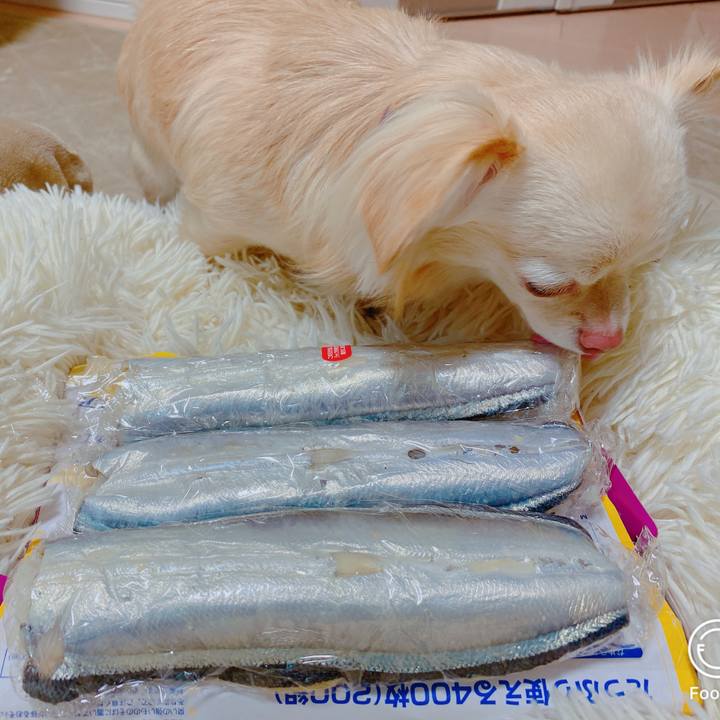 Ed07a22a 130e 40e8 86c2 09db6a0e954f 1643270406629