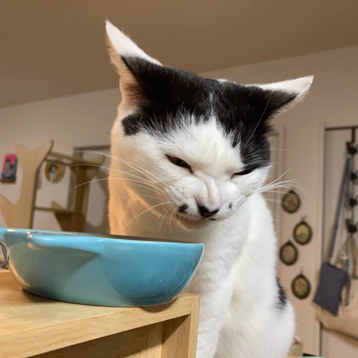 Ed07a3de e3bc 423a 94de c3fe8a7140ba 1770152609393