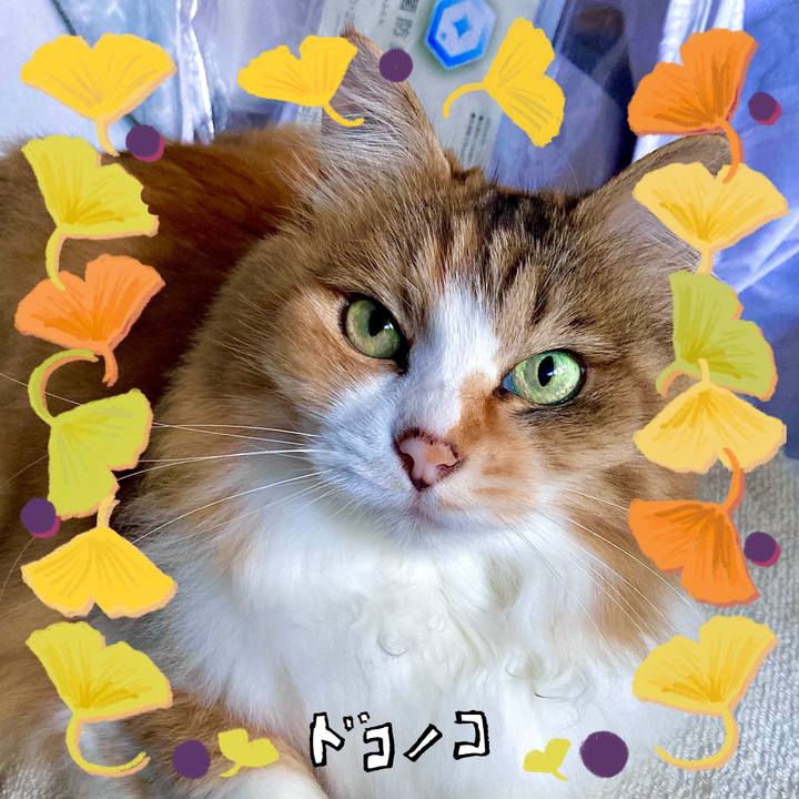 Ed081010 2c22 458f 9a63 0a033b567947 1729062761647