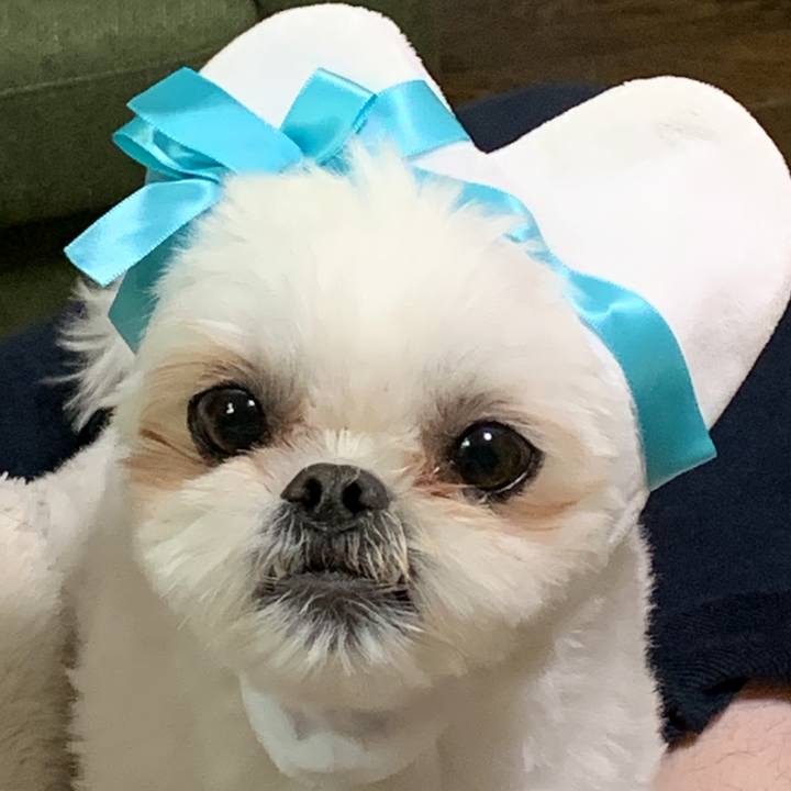 Ed0816f7 fee6 4937 a2fd e24c1d35e5a5 1676381948500