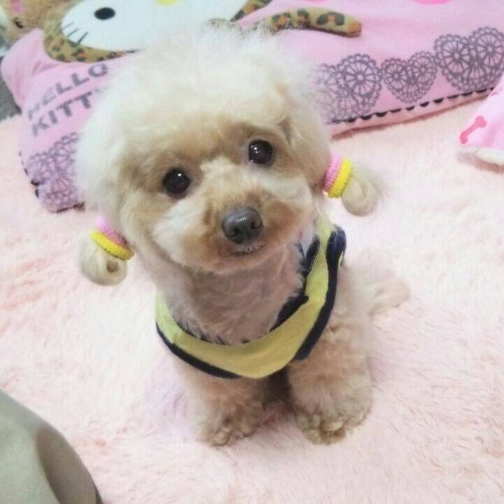 Ed082054 be5b 4bcc b0e6 1f719f1ace56 1551398812242