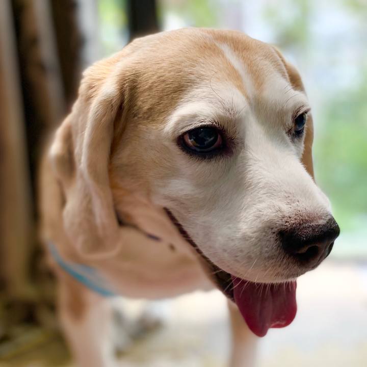 Ed0820de 0e49 4dfa ad30 98bf7a648d83 1624592109286