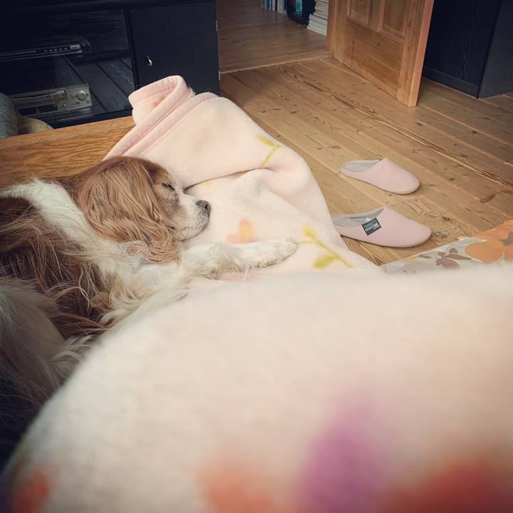 Ed082b40 088b 4659 96c0 2df793fd8817 1576199297285