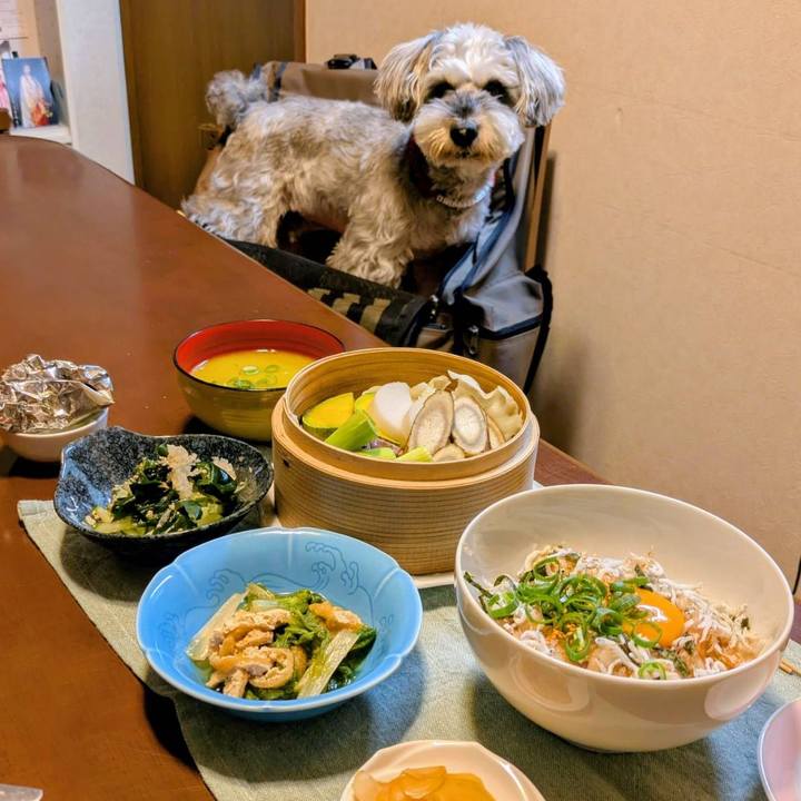 Ed0848f8 8892 48f1 93d6 f9a1a7a0f57b 1761842692885