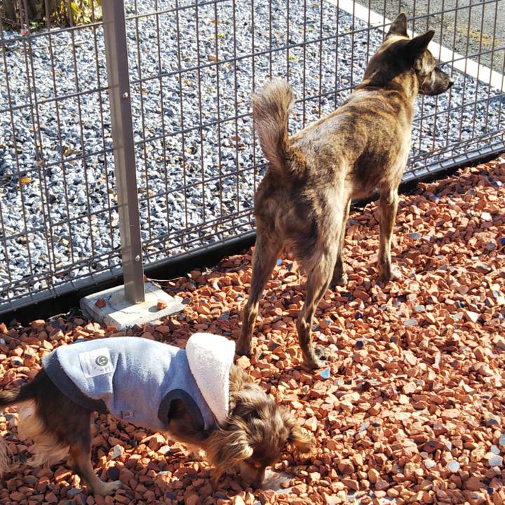 Ed086400 6986 4df6 be08 286b5299d7e4 1576377323537