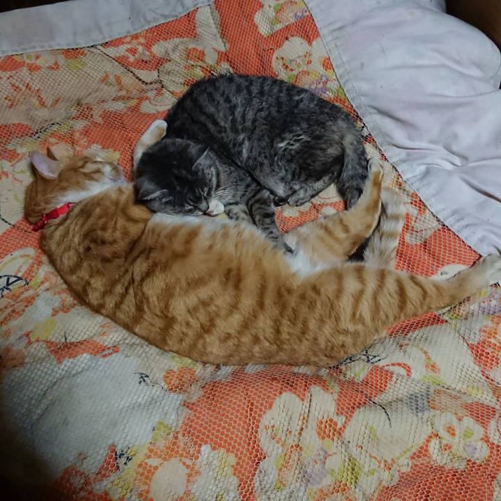 Ed086519 d019 40f5 a701 6fba77b72459 1577627088782