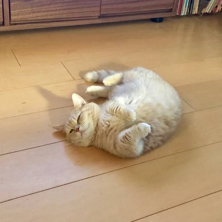 Ed087296 b0c7 4b62 9e3e af1b682a5780 1562236129950