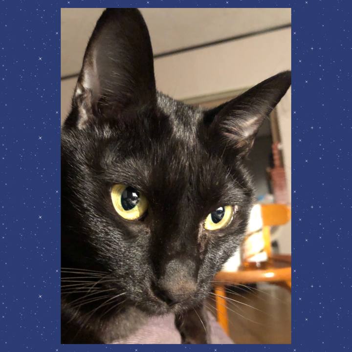 Ed0885d1 0aa3 4c31 9d8d 759c9b6abea6 1666530187770