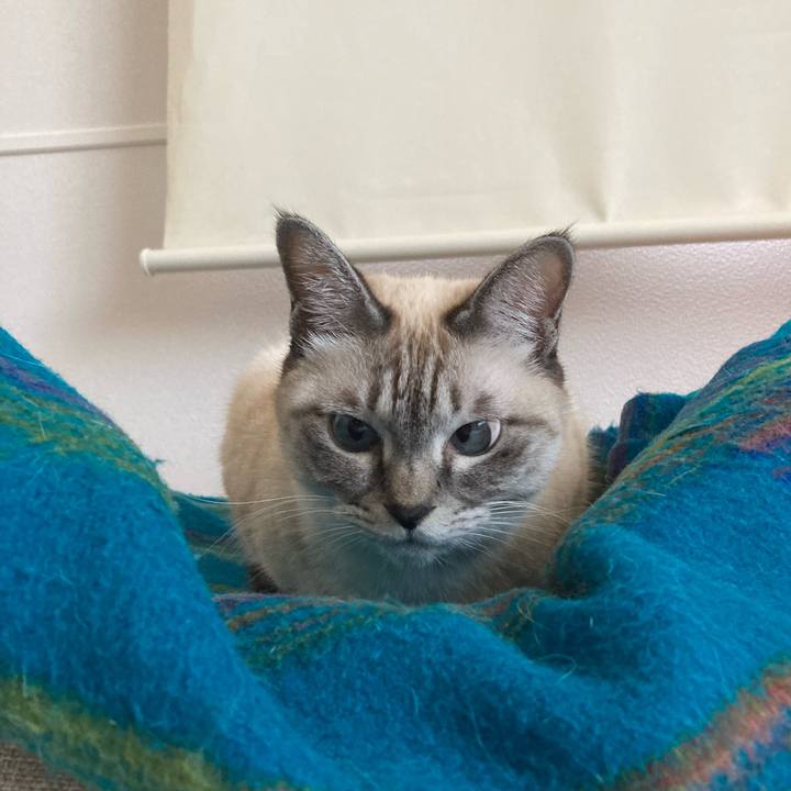 Ed088b65 41eb 4457 9f0b 571e6bd5e71e 1733378172162