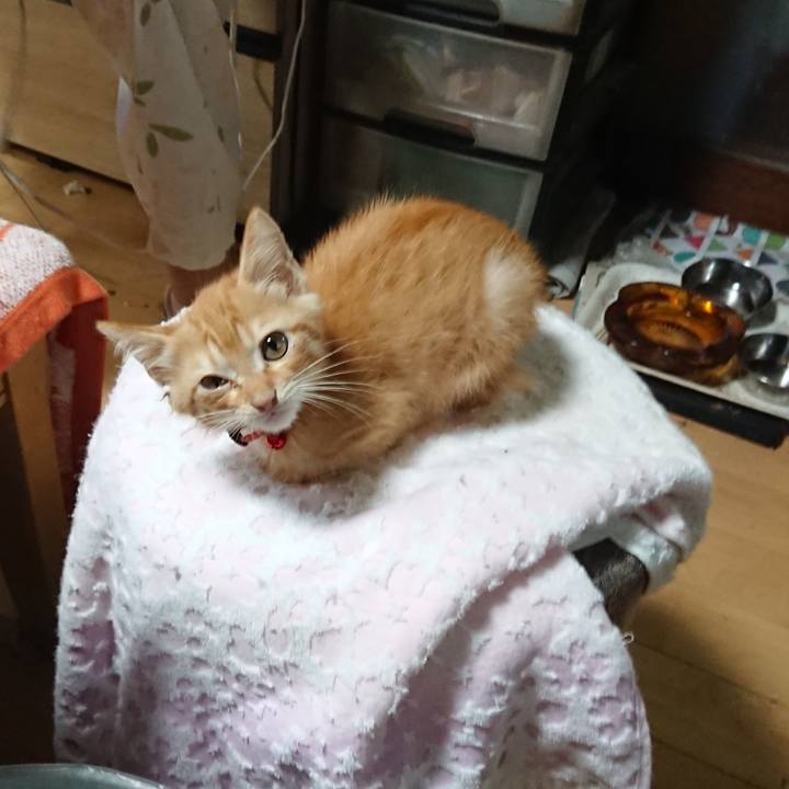 Ed089d30 a8ae 4b8f 9682 68c85e2853ce 1628586104417