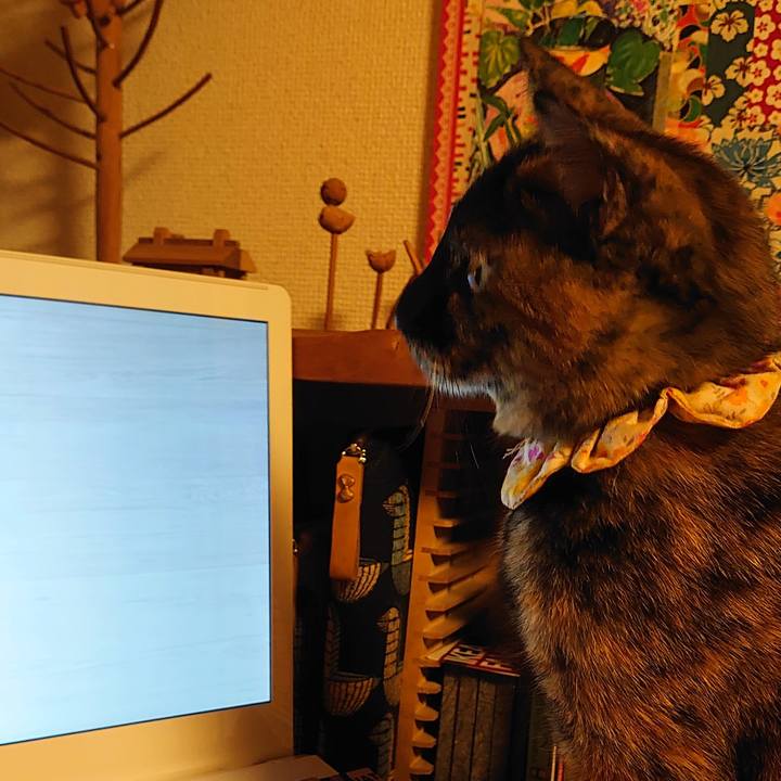 Ed08a854 25aa 4006 97cc 5b5d4b8e35a2 1758194700192