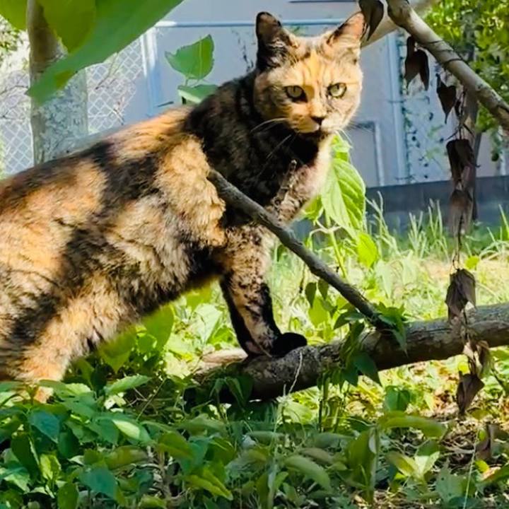 Ed08ab69 f917 4c2f 93d8 761f2ca8d302 1754013631764