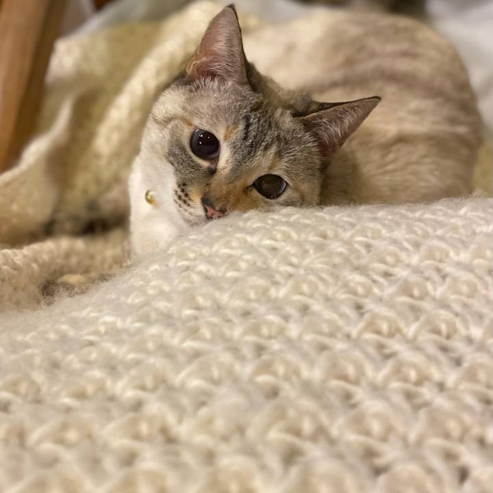 Ed08b928 3f68 4bc8 ba2e eb118293346f 1709113764646