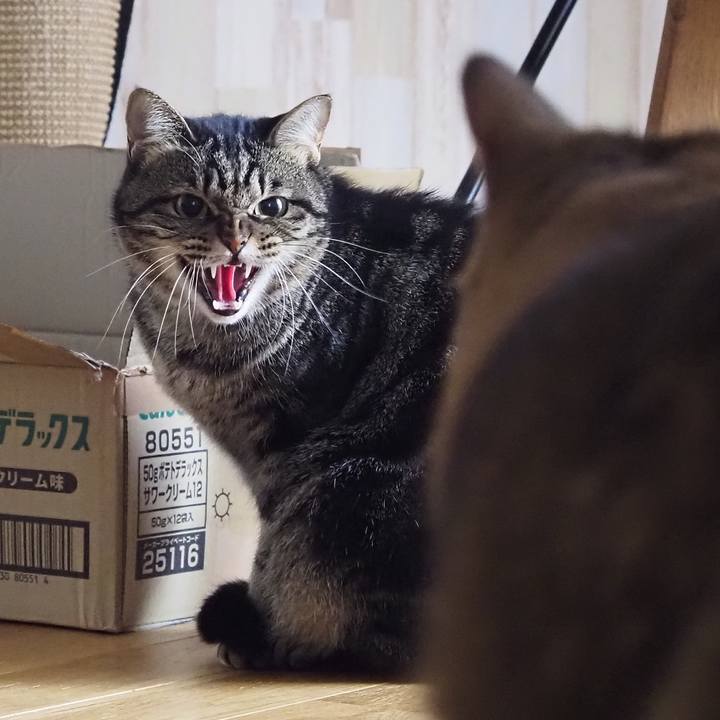 Ed08ba44 bb1b 4853 b595 d704e5c4194a 1669088301220