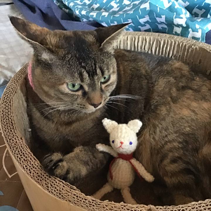 Ed08c1f2 c57e 4bf8 a319 4246ef8efa21 1744277890442