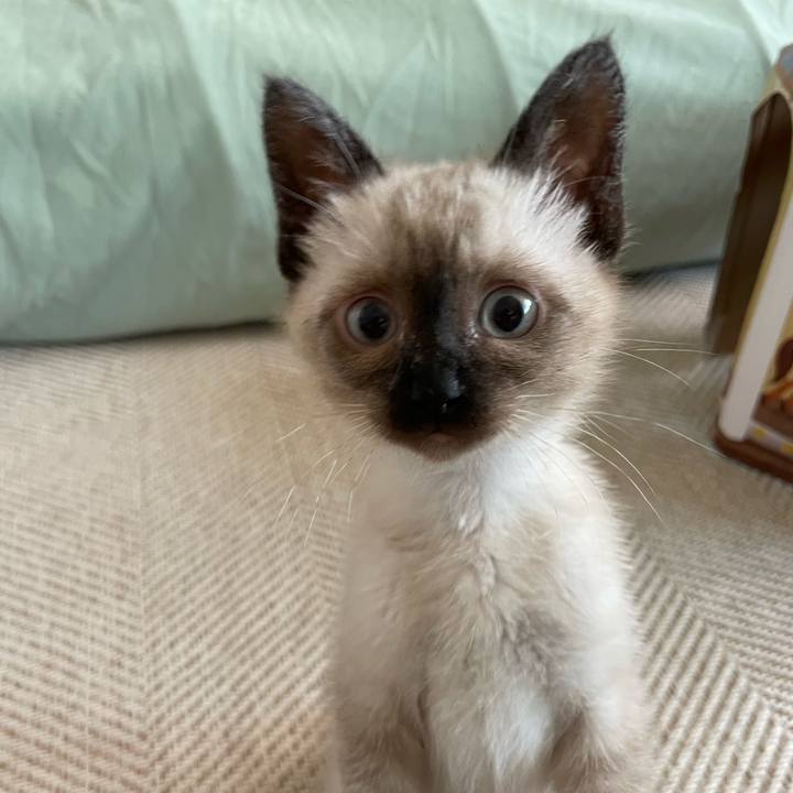 Ed08cf6a 220b 46ed b76b 91b006c5eb7b 1687988700320