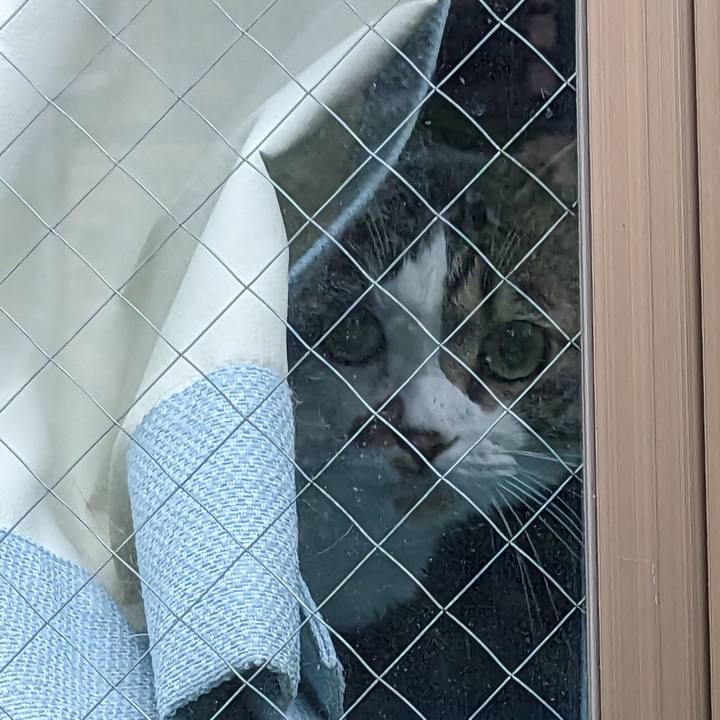 Ed08d113 8891 426d 874e 8df641f8d18a 1685486721412