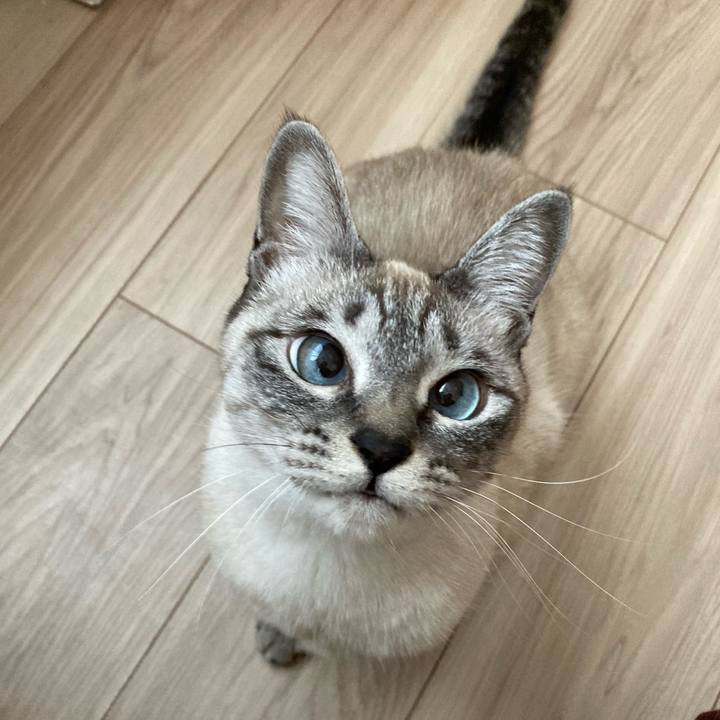 Ed08f34e 0b39 4445 9921 a299e1056584 1610774986811