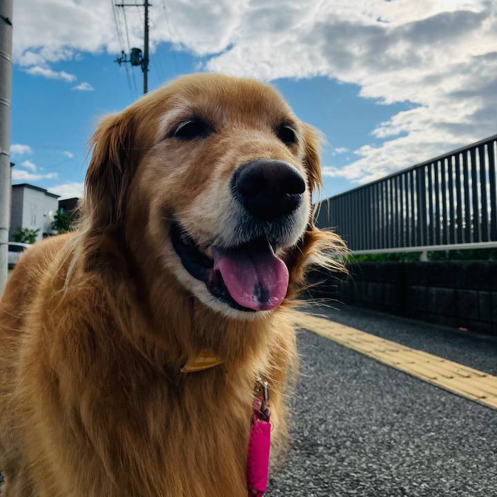 Ed094a2f 5eec 4e53 adb0 6399df1d879d 1720683560187