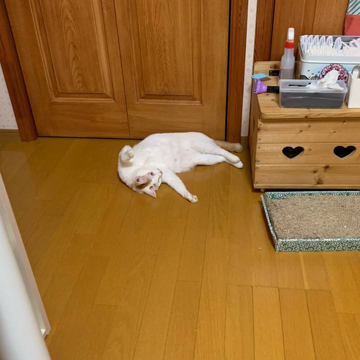 Ed099d32 fa51 468a a6b2 252561e47a70 1633815380856