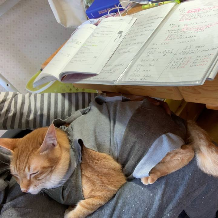 Ed09b352 bc28 4715 ad5a fcf159b432a1 1573372361312