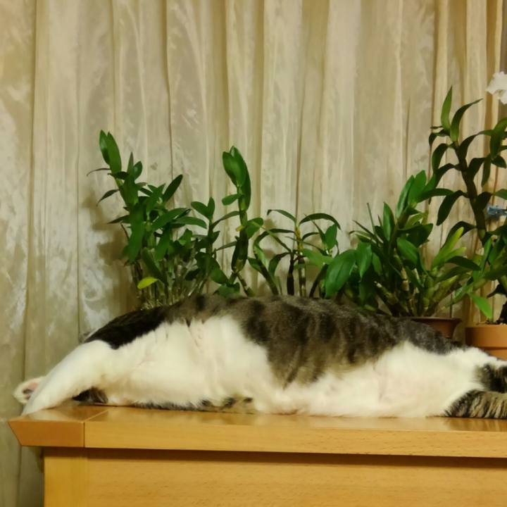 Ed09e0b1 d39d 4bbf 98d6 665b99e4bb7c 1514548768300