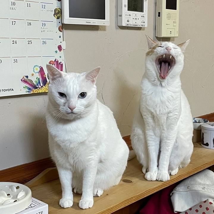 Ed0a2b04 edc4 49b2 8f79 490ca8837995 1647083360186