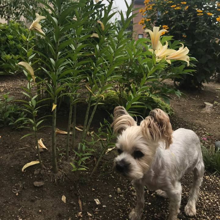 Ed0a7ca5 5213 49da 85bf 8e5ab09baa7d 1564651024315