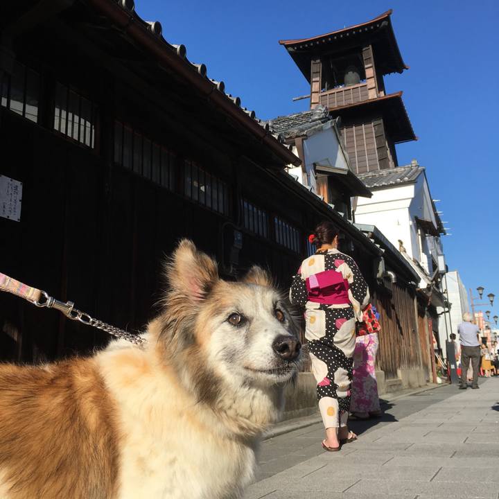 Ed0a99a5 791f 4c58 b5c8 1920bb2c4aed 1511906448056