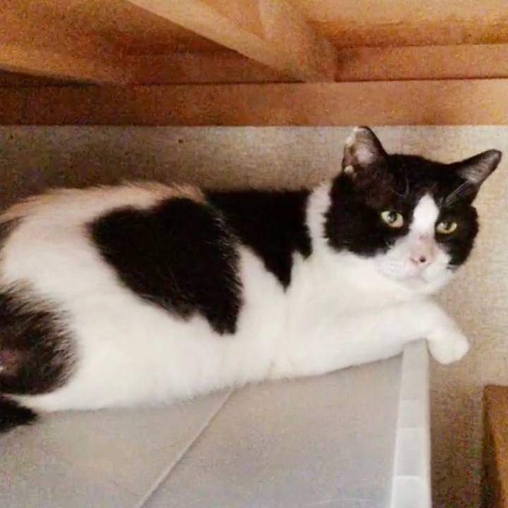 Ed0a9ef5 c5bb 4c79 bb41 c5e7b7ed9d18 1634348826697