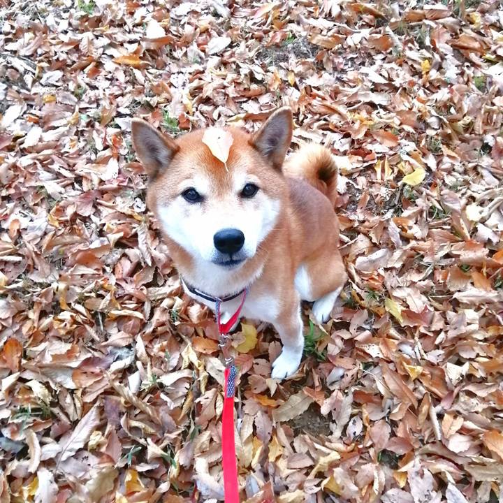 Ed0abfaa d86e 4eec b3d6 c41e173ef559 1669628173532