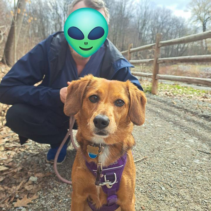 Ed0ac087 d25e 46c6 bba2 8cbfe8074055 1775263289906