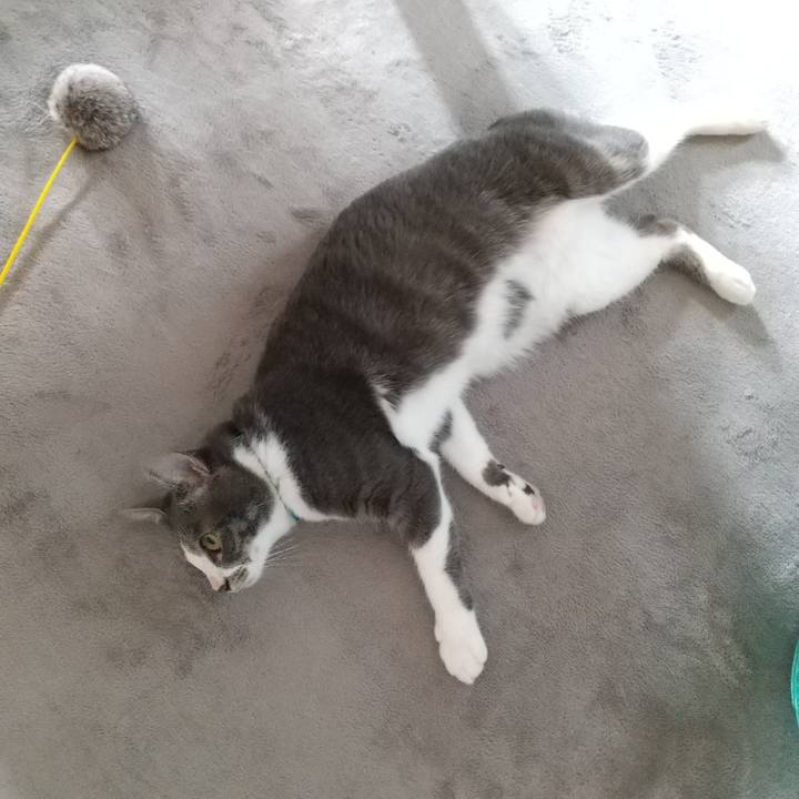 Ed0ac176 f69c 4712 b062 006439c2ba58 1598051761154