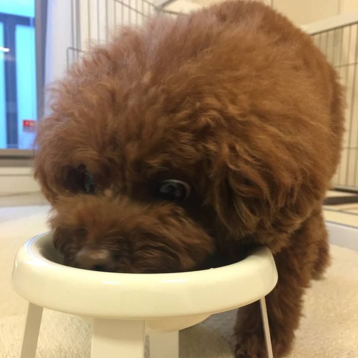 Ed0afed4 1596 4b74 a03f 896fbf1eb237 1529322977590