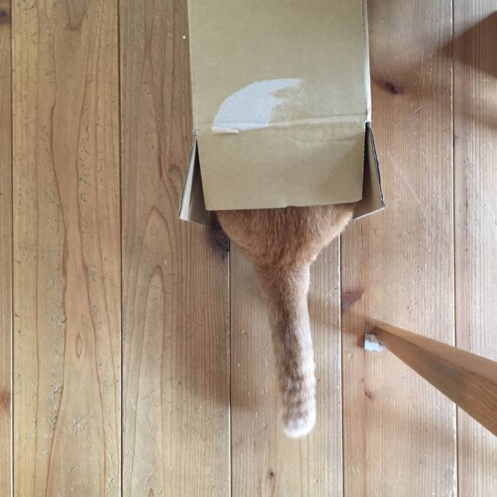 Ed0b1609 b3f9 4a2e aa1f ae6992e00cea 1560338485537