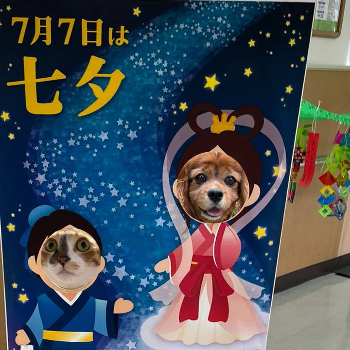 Ed0b4c01 d0a3 4d42 bb9c 668264adeefc 1720305253087