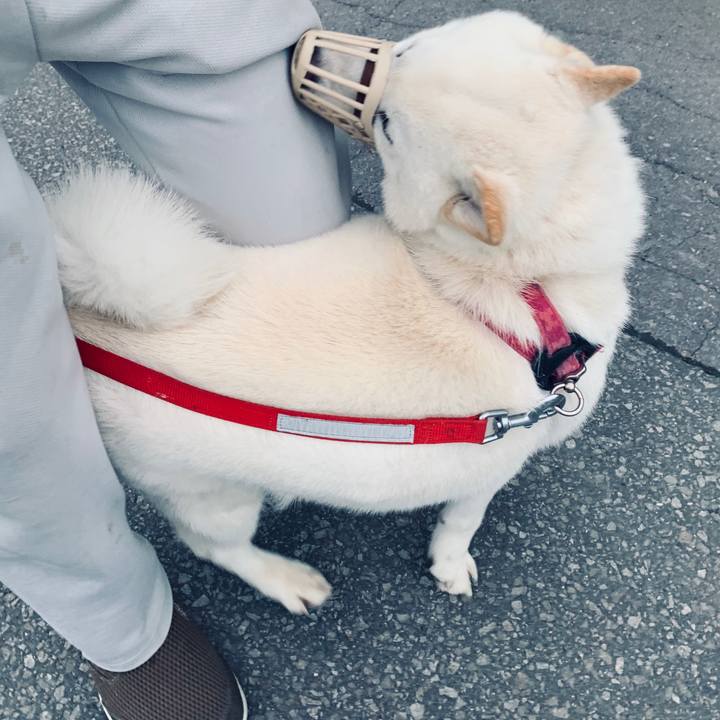 Ed0b7006 e18c 4b80 a0a0 5867d4e47a89 1591649376655