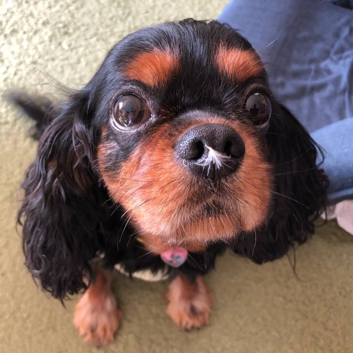 Ed0bae23 a91b 4b7f ba02 a202585b7b78 1548421057441