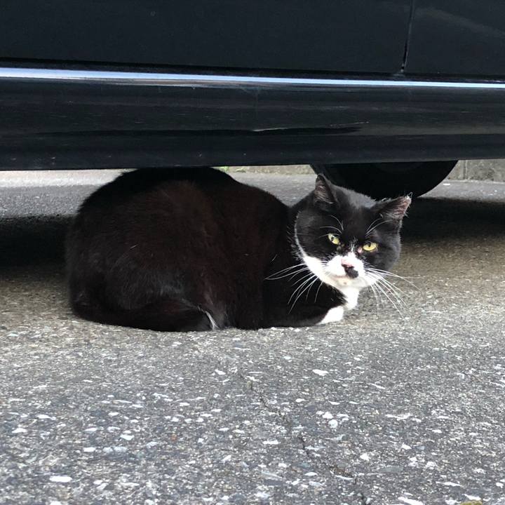 Ed0bf524 1988 4e83 837f 4dd3781f2023 1638014859123