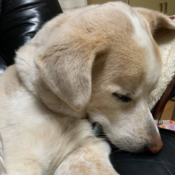 Ed0c16af 0466 45be 8145 db33abd17ac3 1642167847781