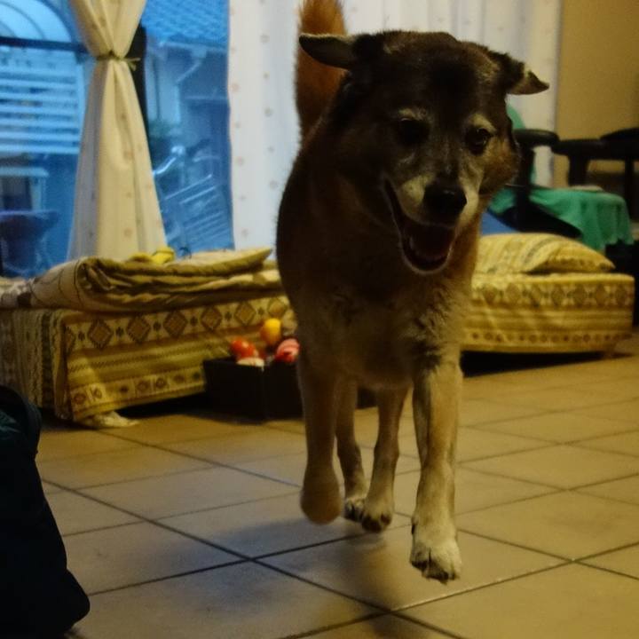 Ed0c36ff 2e14 4a0c bc9b 8559dc6706dc 1563099008931