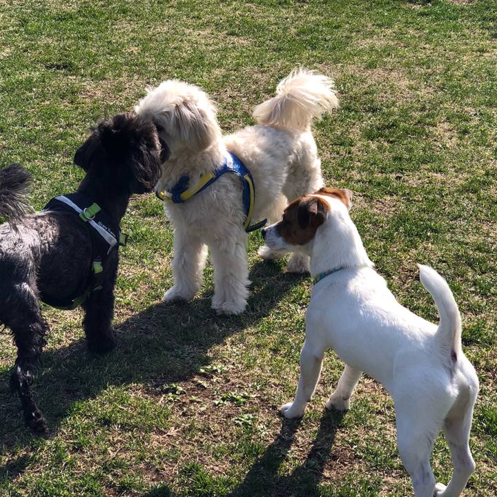 Ed0c73b6 01e6 4836 bd2d 8c46c8a55924 1523343074804