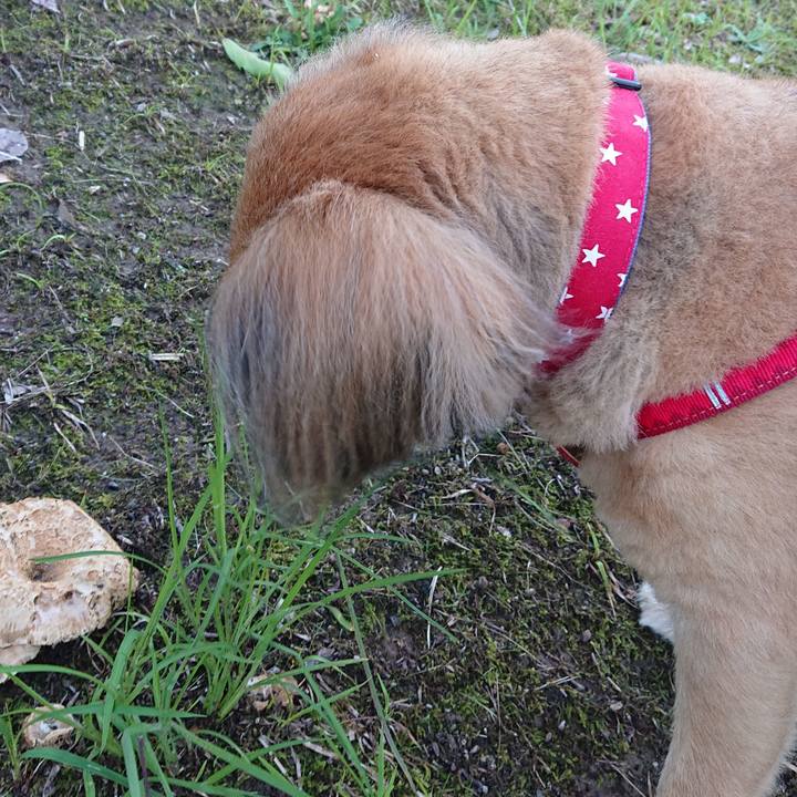 Ed0c8548 e92f 4792 9bc7 6bb159fc37cd 1567415893961