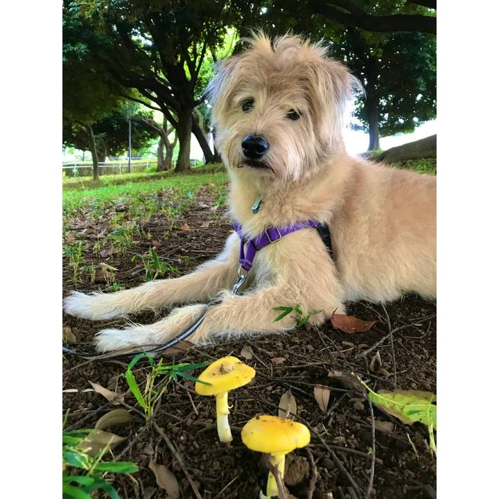 Ed0c8721 672f 4464 aa7a b8774bdb256f 1537420314664