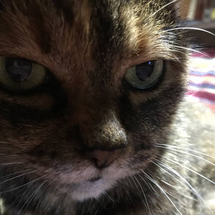 Ed0c91a2 1f78 4948 acb5 d10acc540e65 1554601150320