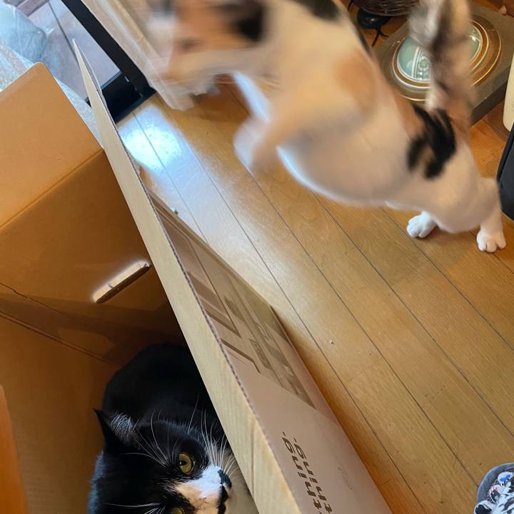 Ed0ca5fb ca57 4128 a523 475d1d95d361 1670552200265