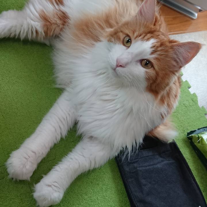 Ed0cee1c d745 4a80 aced c268571d162c 1559910073126